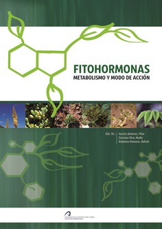 Fitohormonas