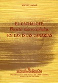 El Cachalote Physeter Macrocephalus en las Islas Canarias